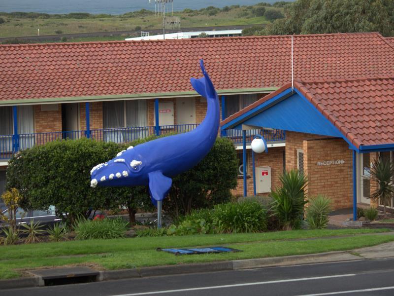 Blue Whale Motor Inn & Apartments Warrnambool Exterior photo