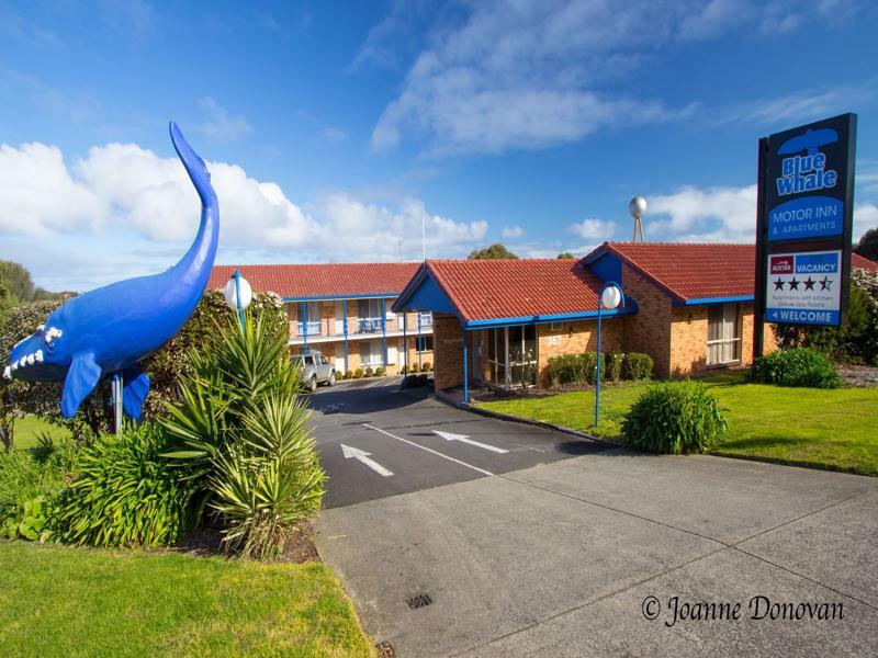 Blue Whale Motor Inn & Apartments Warrnambool Exterior photo